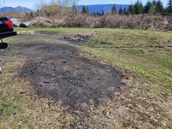 Burnt grass at Eagle Mountain park in Coquitlam