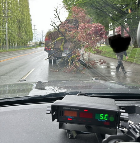 Picture taken from inside police vehicle during traffic stop showing the rear of the commercial vehicle with large trees sticking out