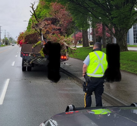 Picture of police officer wearing a yellow reflective vest and police uniform standing behind the commercial vehicle with large trees sticking out