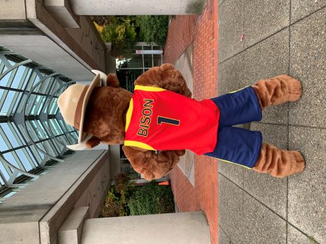 A bison mascot dressed in a basketball uniform, with his back turned, wearing a red RCMP basketball jersey, and blue basketball shorts and a brown Stetson hand.