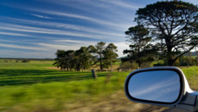 Vue d’un champ de verdure et d’arbres ainsi que d’un rétroviseur extérieur prise de l’intérieur d’une voiture